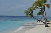 Paisagem de cartão postal em Cayo Sombrero, no Parque Nacional Morrocoy, na Venezuela